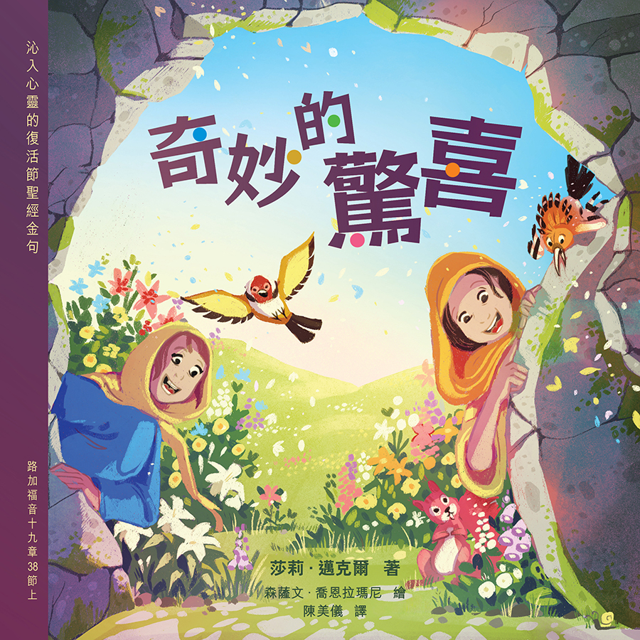 奇妙的驚喜．平裝．繁體