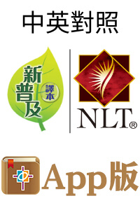 聖經套裝：新普及譯本CNLT New Living Translation（電子版）