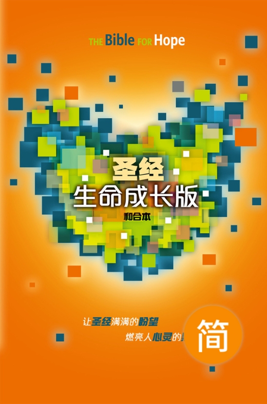 CCS11826