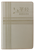 CAS8624