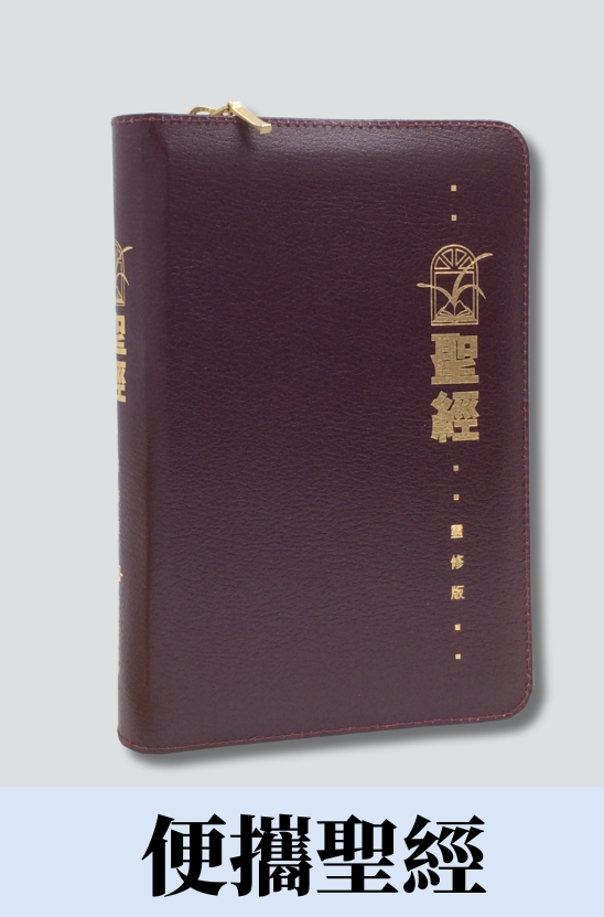 CCT1174